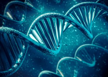The Future of DNA Synthesis