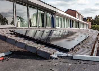 Eco-Efficient Building with William Trowell: Managing Projects for Maximum Sustainability