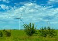 Balancing Technology and Ecology, Anthony Tony Mattei Brings Modern Tools to Environmental Science