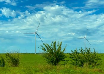 Balancing Technology and Ecology, Anthony Tony Mattei Brings Modern Tools to Environmental Science
