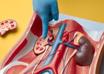 Revolutionizing Kidney Care with AI: A New Standard for Patient Engagement and Safety