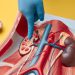 Revolutionizing Kidney Care with AI: A New Standard for Patient Engagement and Safety