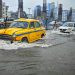 Why Etobicoke Homes Face Higher Sewer Backup Risk During Heavy Rainfall