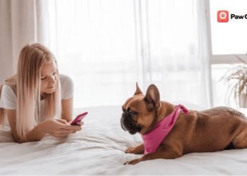 How Much Is It to Adopt a Dog with PawChamp App Support?