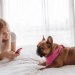 How Much Is It to Adopt a Dog with PawChamp App Support?