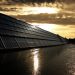 With Hands-On Experience and Insight, Anthony ‘Tony’ Mattei Strengthens Environmental Strategies