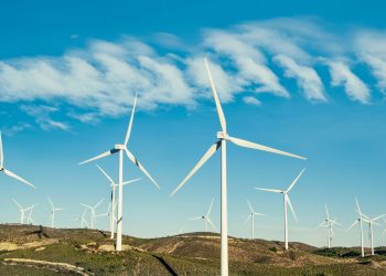 From Turbines to Rooftops