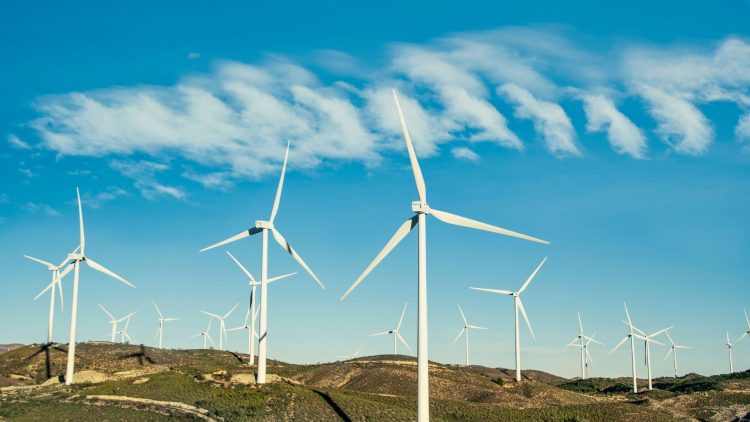 From Turbines to Rooftops