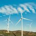 From Turbines to Rooftops