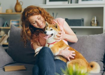 Coping With Guilt After Pet Loss? Here Is How Therapy Can Support Healing