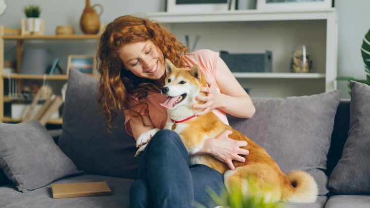 Coping With Guilt After Pet Loss? Here Is How Therapy Can Support Healing