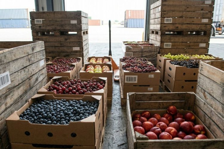 Middle East Conflict Puts Pressure on Southern Hemisphere Fruit Exports