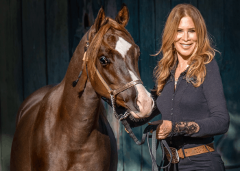 When an Arabian Horse Becomes an Ambassador: How Philanthropist Ann Lesley Smith Is Using Legacy to Talk About Peace