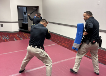 Critical Training Solution: Pre-attack Indicators and Early Threat Recognition