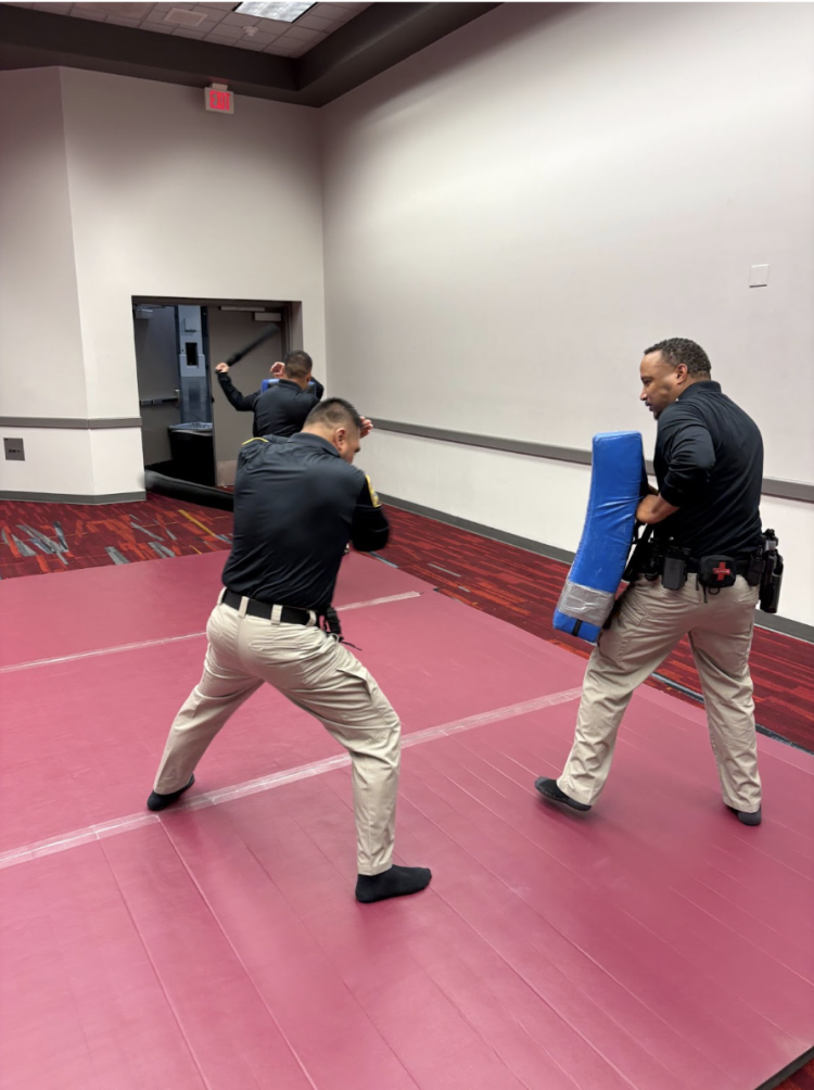 Critical Training Solution: Pre-attack Indicators and Early Threat Recognition