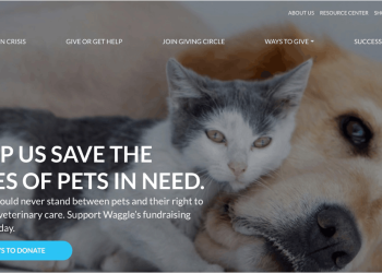 How Americans Are Coming Together Through Waggle To Give Pets New Life