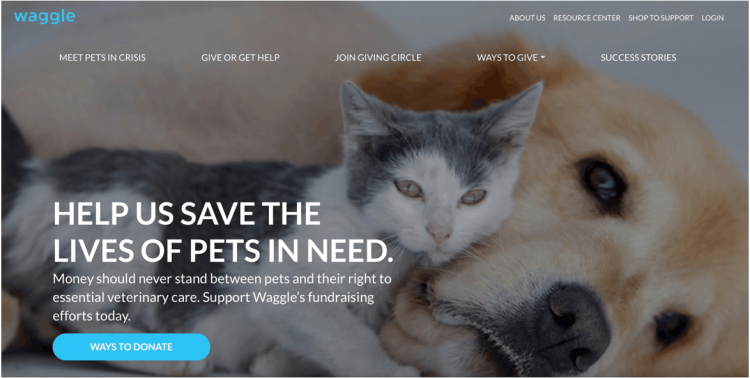 How Americans Are Coming Together Through Waggle To Give Pets New Life