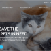 How Americans Are Coming Together Through Waggle To Give Pets New Life