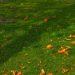 Irrigreen and the Economics of Water Efficiency in Suburban America