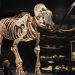 How a SUNY Buffalo Professor’s Vitriol Narrows the De-Extinction Debate
