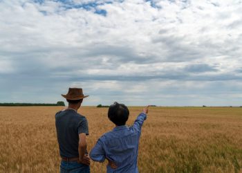 Cody Weber Explains the Value of Reliable Customer Service in Agriculture