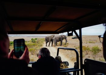Luxury Safaris for US Travellers – How to Plan Flights, Time Zones and Seamless Connections