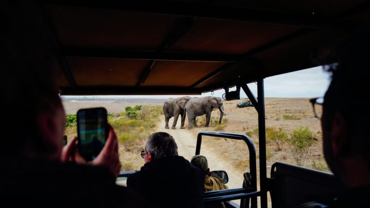 Luxury Safaris for US Travellers – How to Plan Flights, Time Zones and Seamless Connections