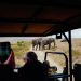 Luxury Safaris for US Travellers – How to Plan Flights, Time Zones and Seamless Connections