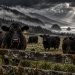 The Vermillion Dispute: Locked Gates, Missing Calves, and a Six Figure Court Battle in Coos County